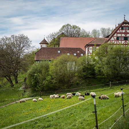 Hotel & Tagungszentrum Schloss Hohenfels Hohenfels  エクステリア 写真