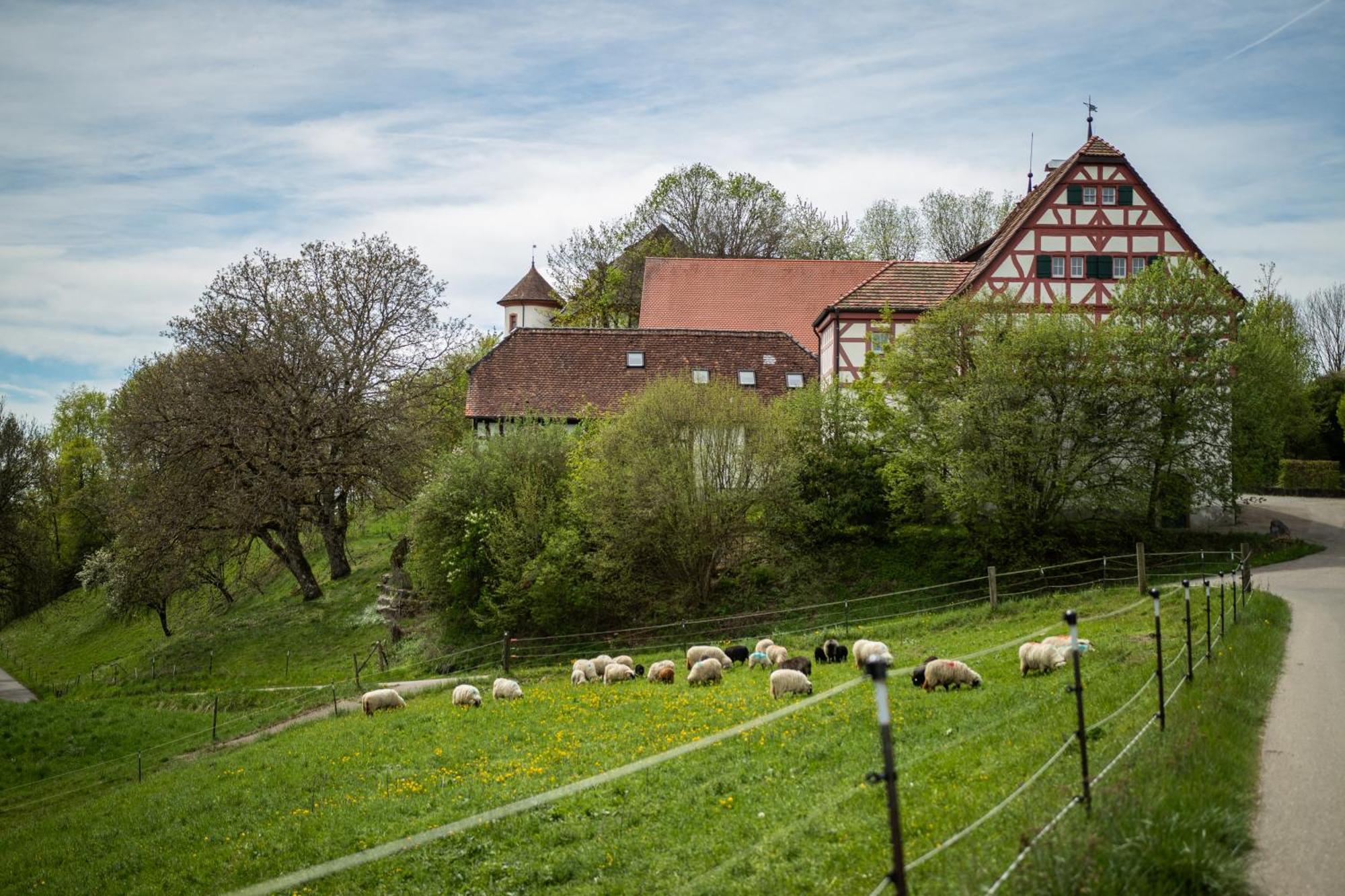 Hotel & Tagungszentrum Schloss Hohenfels Hohenfels  エクステリア 写真